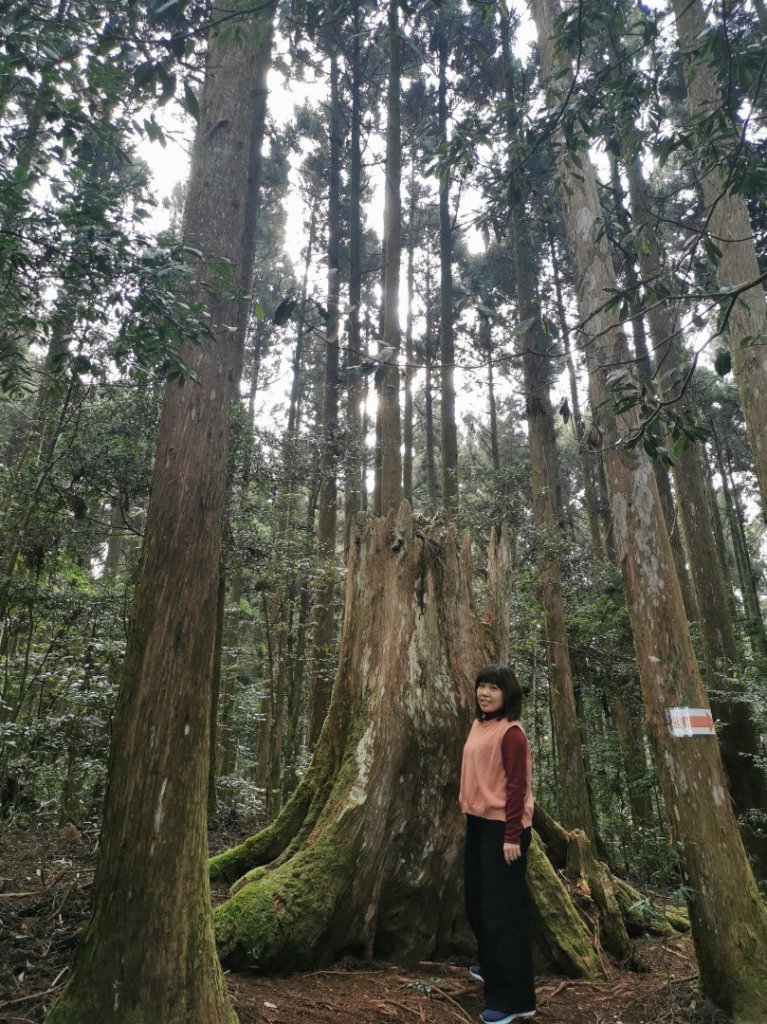 野馬瞰山步道_1300787