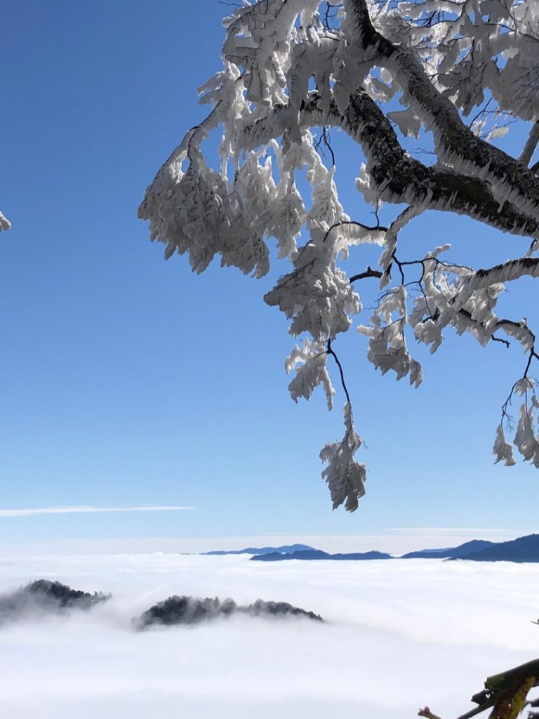 北得拉曼內鳥嘴山（雪、雲海、雲瀑）中級山第一場雪封面圖