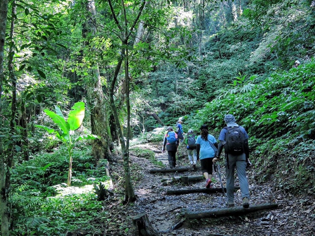 小百岳#37～馬那邦山 _976629