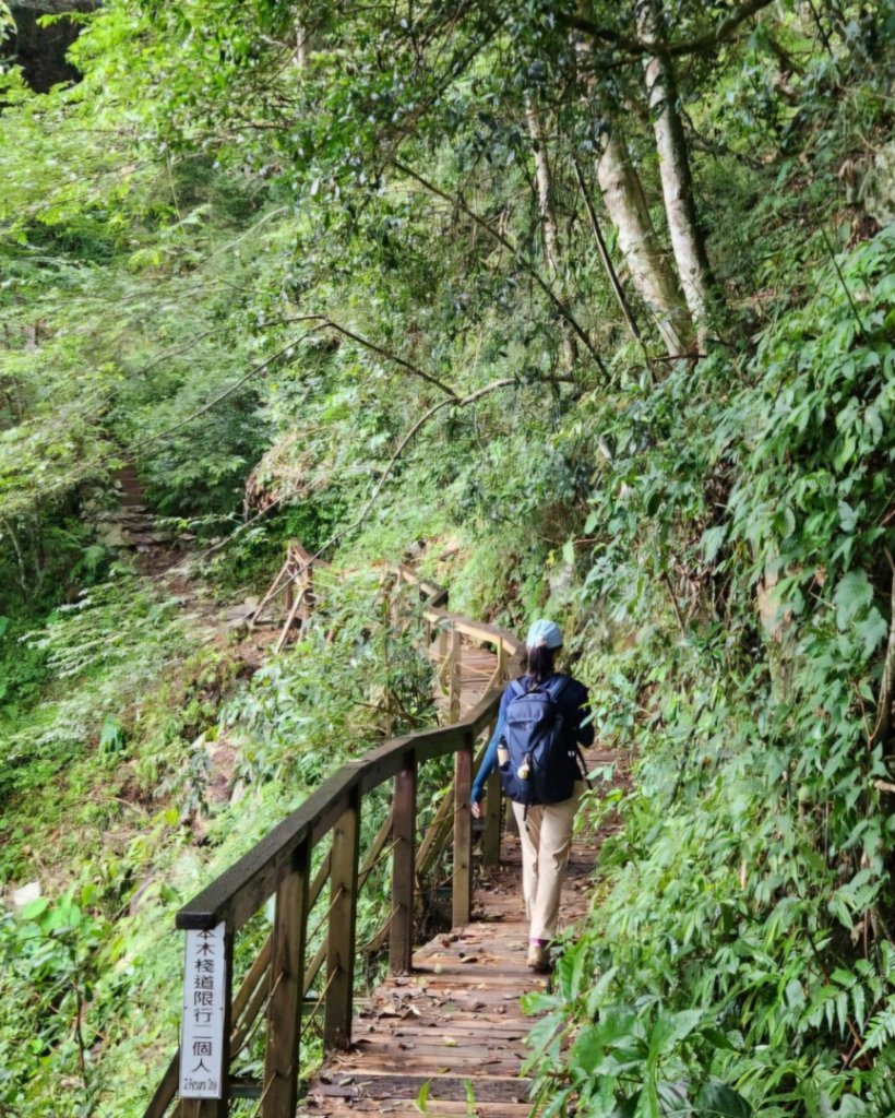 【中級山】五星級步道，谷關七雄馬崙山（八壯士進，斯可巴出）_2744946