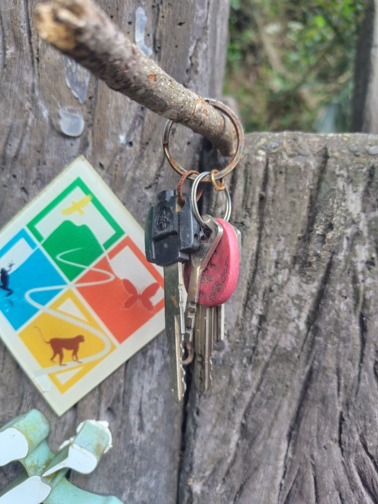 唐麻丹山 蝴蝶谷_2919002