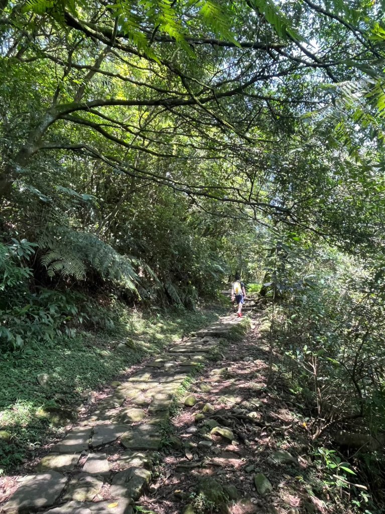 台北 陽明山 絹絲瀑布-擎天崗_2722159