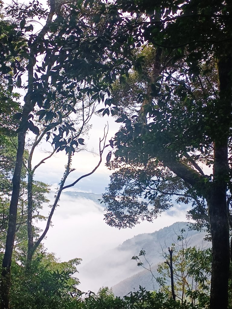 油霞縱走封面圖