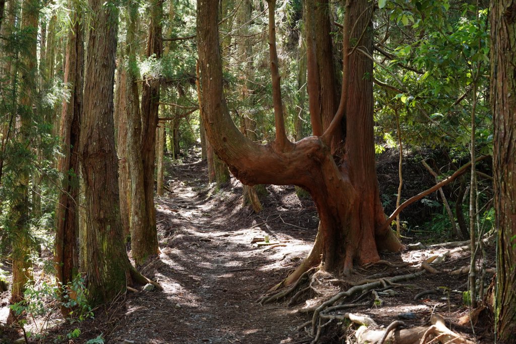 台中 和平 馬崙山_2796957