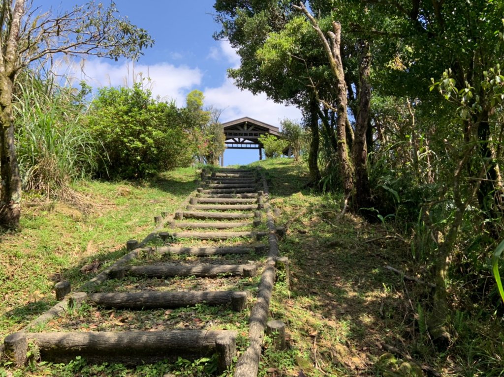 獅公髻尾山連走伏獅山接九芎坑山(玉桂嶺)封面圖