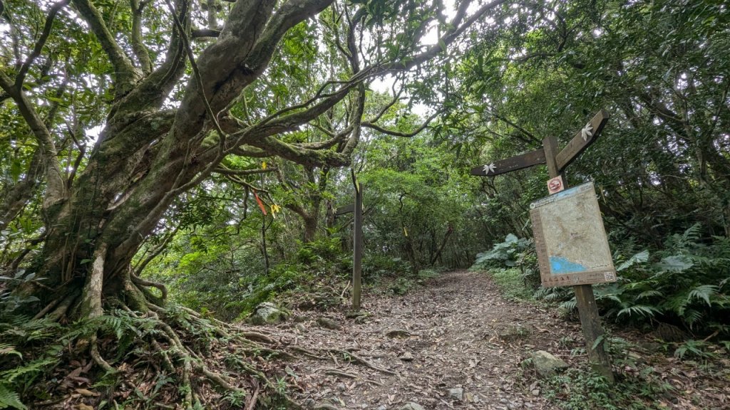 113.06.22坪溪古道-石坑山之旅_2533782