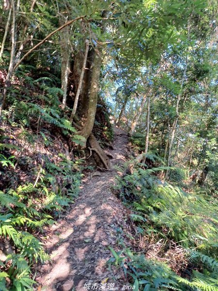 【台中和平】2022「谷關七雄，慢旅台中」登山活動認證。七雄中唯一有瀑布景觀~ 唐麻丹山x蝴蝶谷瀑布_1775934