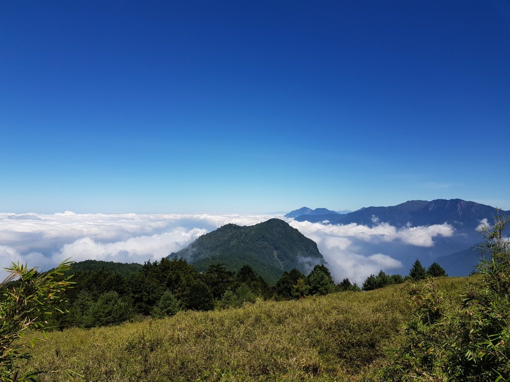 誘惑登山新手路線 塔塔加鹿林山麟趾山_689718