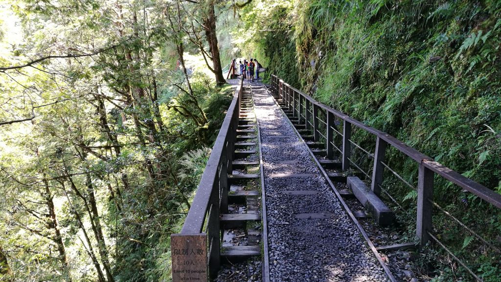 太平山國家森林遊樂區_374649