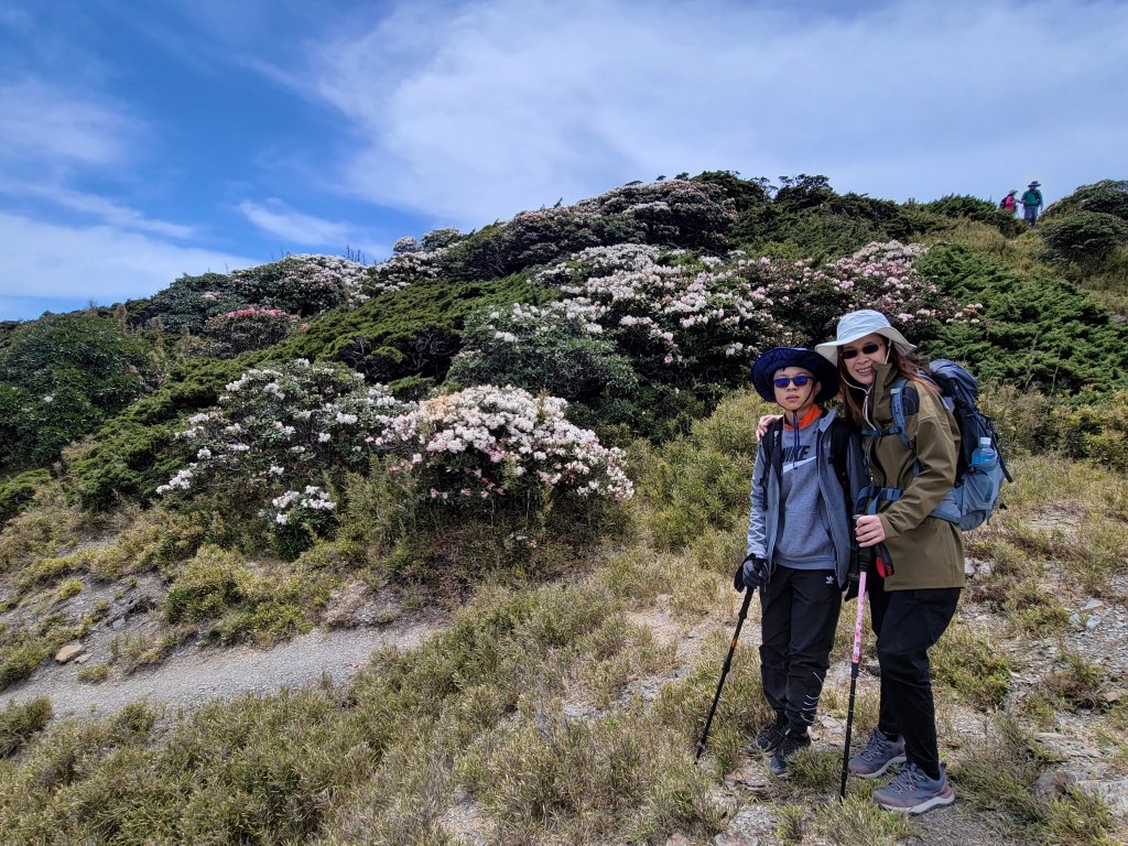 【南投 | 仁愛】合歡北峰賞高山杜鵑_1371224