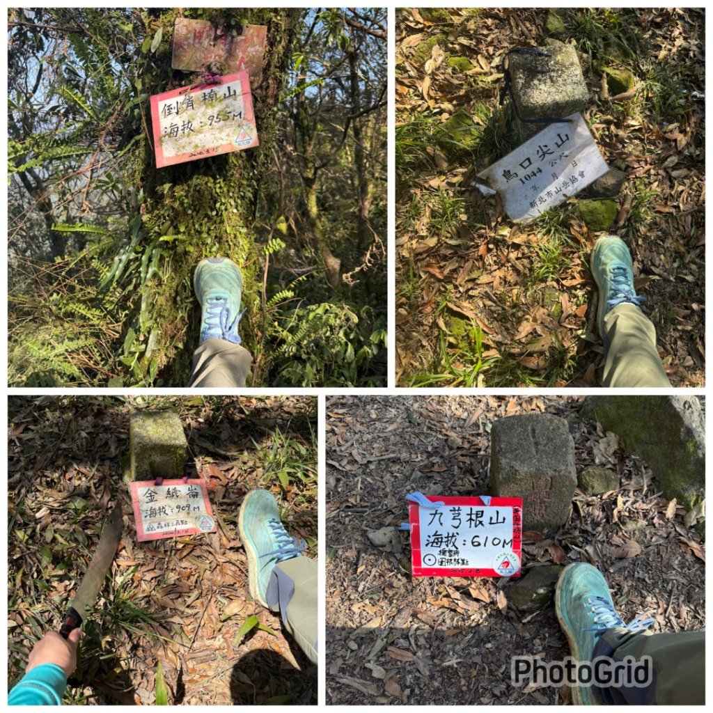 坪林五山縱走 ：九芎根山、金紙崙山、鳥嘴尖山、倒稍楠山、紀州寮山O形封面圖