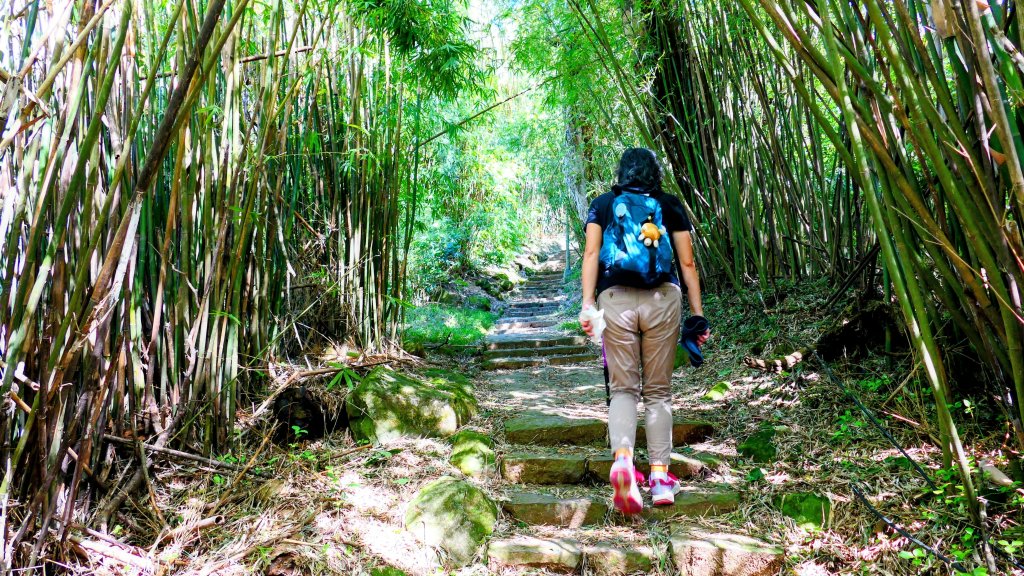 向天蝦不蝦_2936801