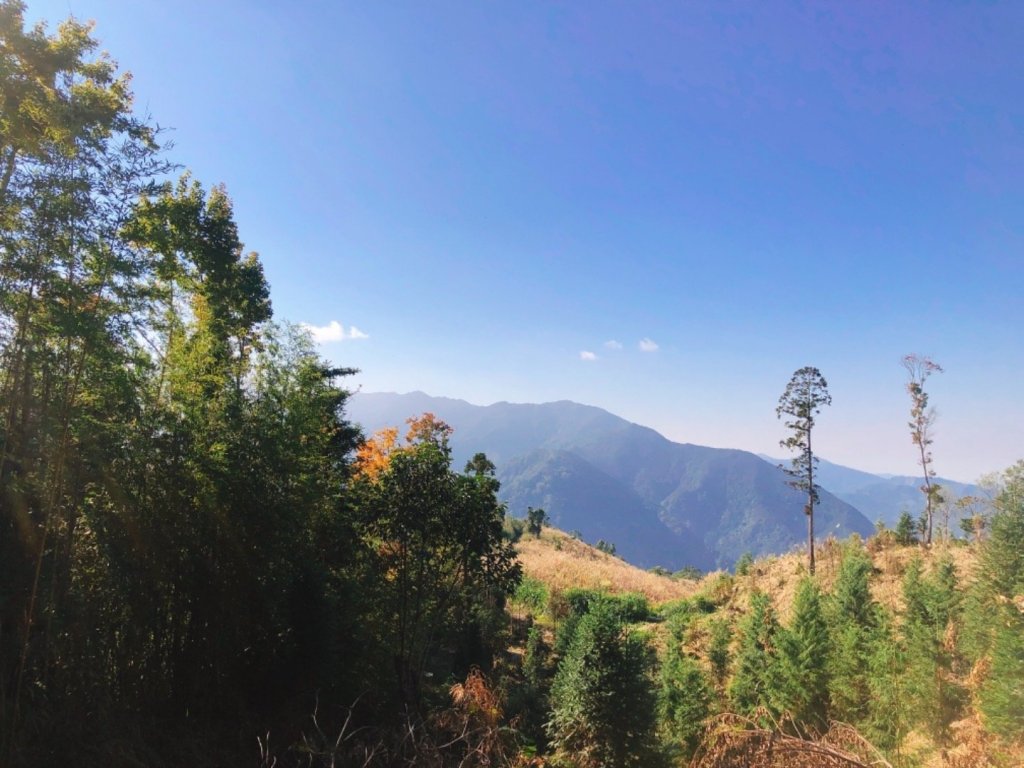 橫龍古道～橫龍山H1318 m_451661