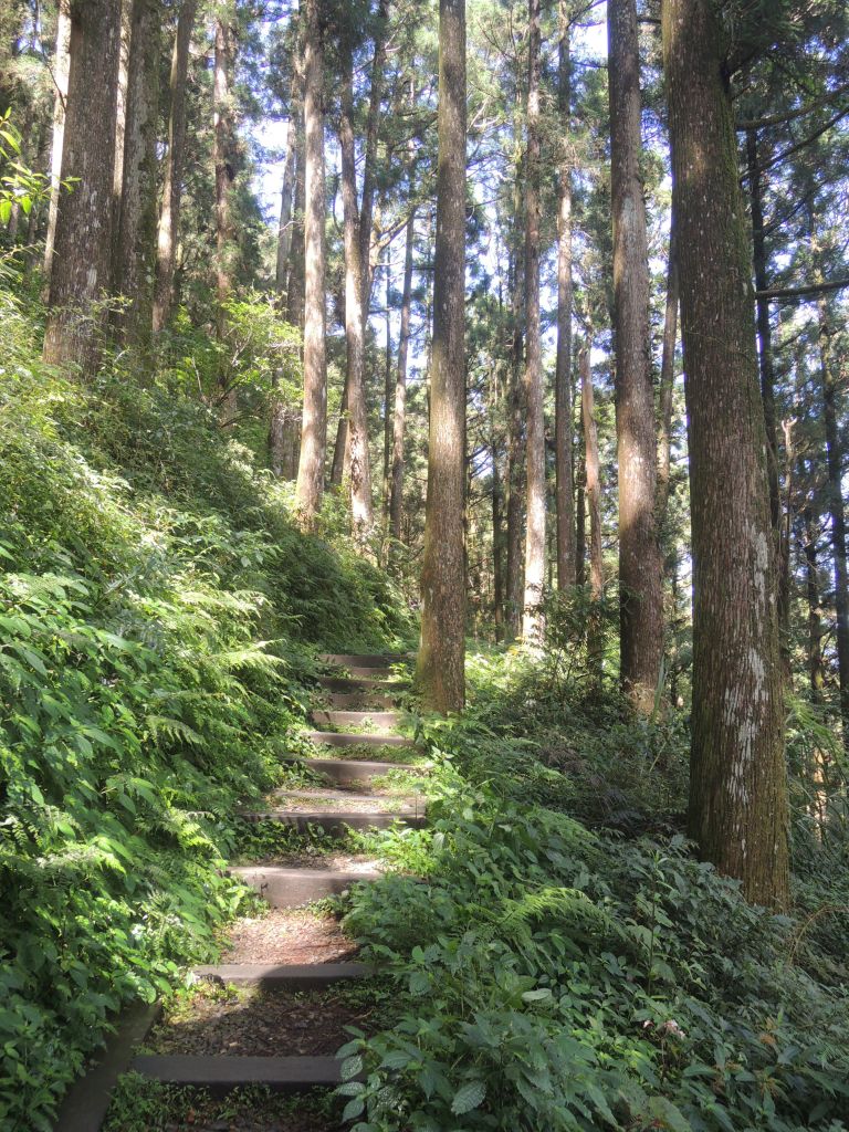 作者 晏琪 朋友的大屯山三連峰之約,開啟了我認識群峰的緣份,大自然