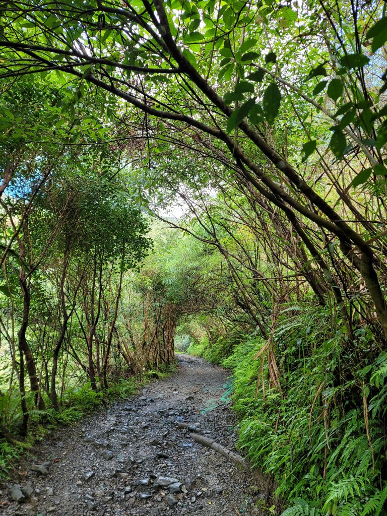 朝聖之路小百岳--三角崙山_2356863