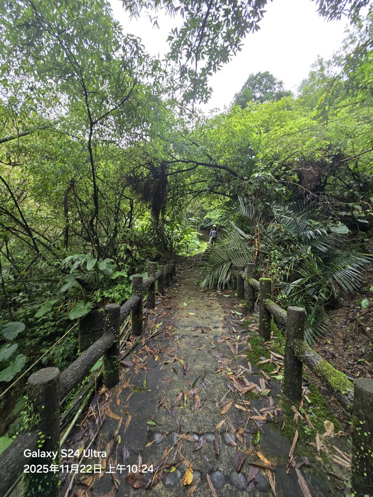 2025-11-22微笑山線：【五分山系】平溪小黃山段_2943314