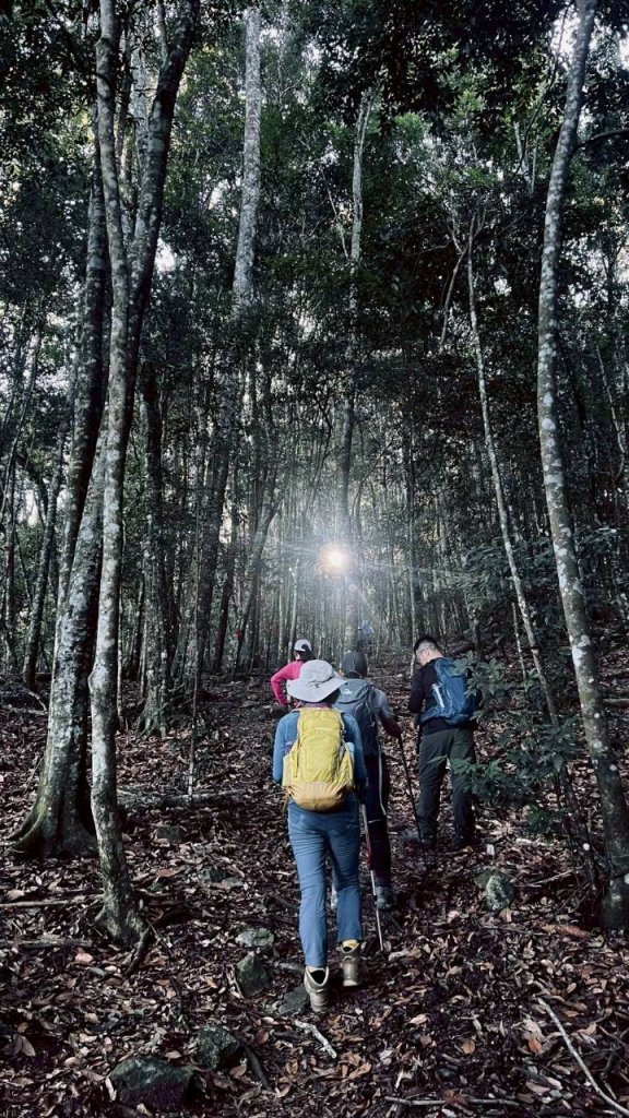 🌈11/15（六）松鶴上八仙山下森林遊樂區✨FB：熊熊趴爬走🌈_2937646