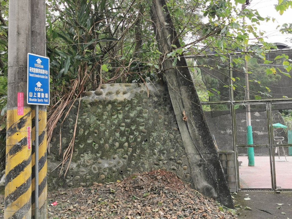 臺北大縱走第 7 段 - 貓空站的櫻之美_875920