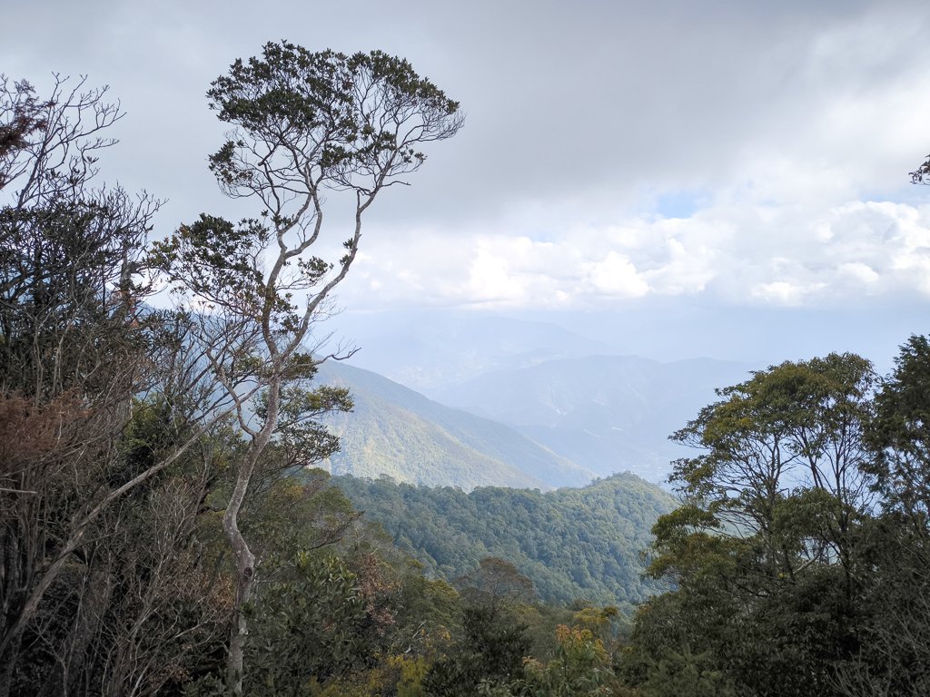 2026-01-18 埔里關刀山_2989610