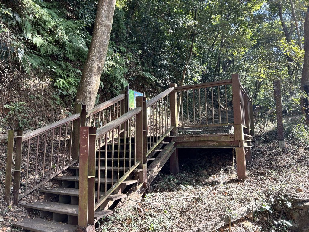 橫山觀日步道_2957506