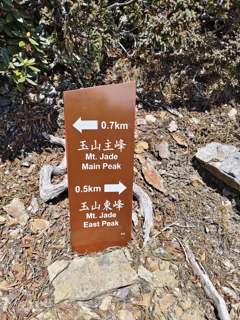 2025.3.3玉山東峰_2784232