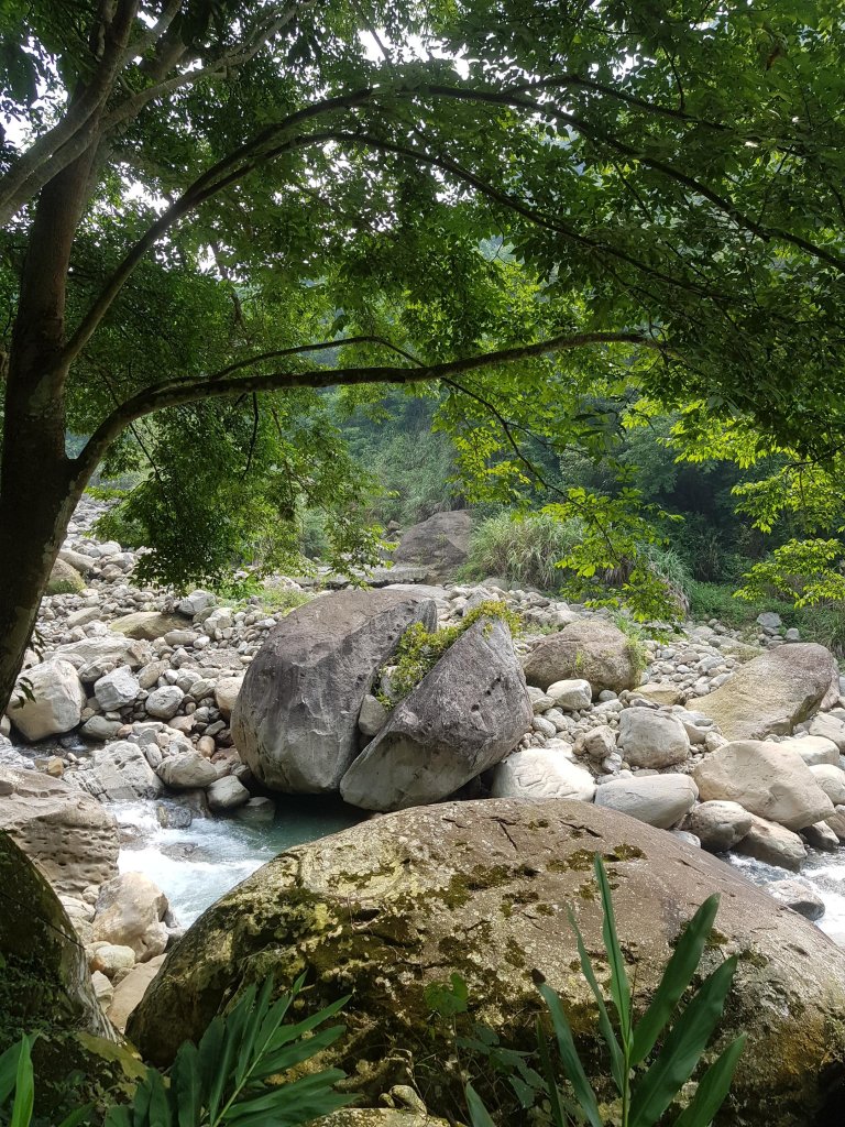  南庄 ~ 蓬萊溪護魚步道_477826