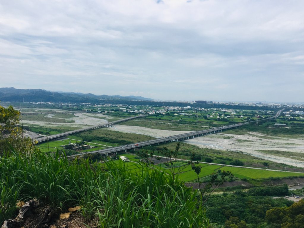 1090611火炎山相思樹花大開_992660