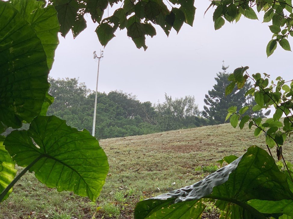 福人登山步道縱走大北坑_2063370
