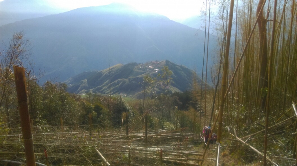 20160305新竹五峰大窩山,比林山_31665