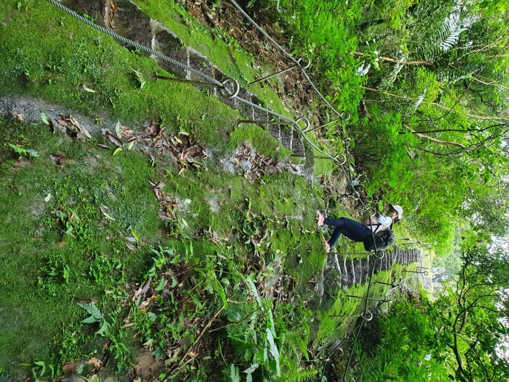 磺嘴山，翠翠谷，擎天崗，孝子山，慈母峰，普陀山，嶺腳瀑布，基隆曾子寮山，地標景觀台步道_1619129