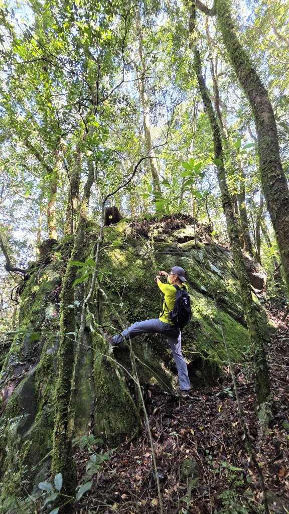東北季風起遊走雲瀑和山毛櫸間的啦卡山與北插天山登山行_2951085