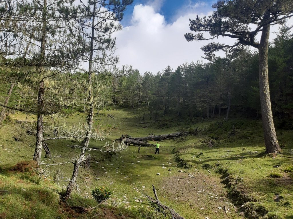 戒茂斯上新康下瓦拉米_655068