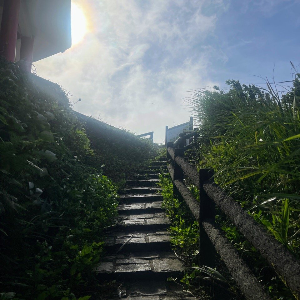 大山背_2736390