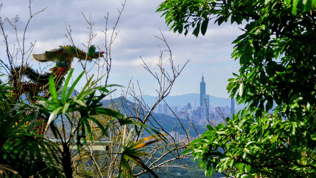 汐止大尖山封面圖