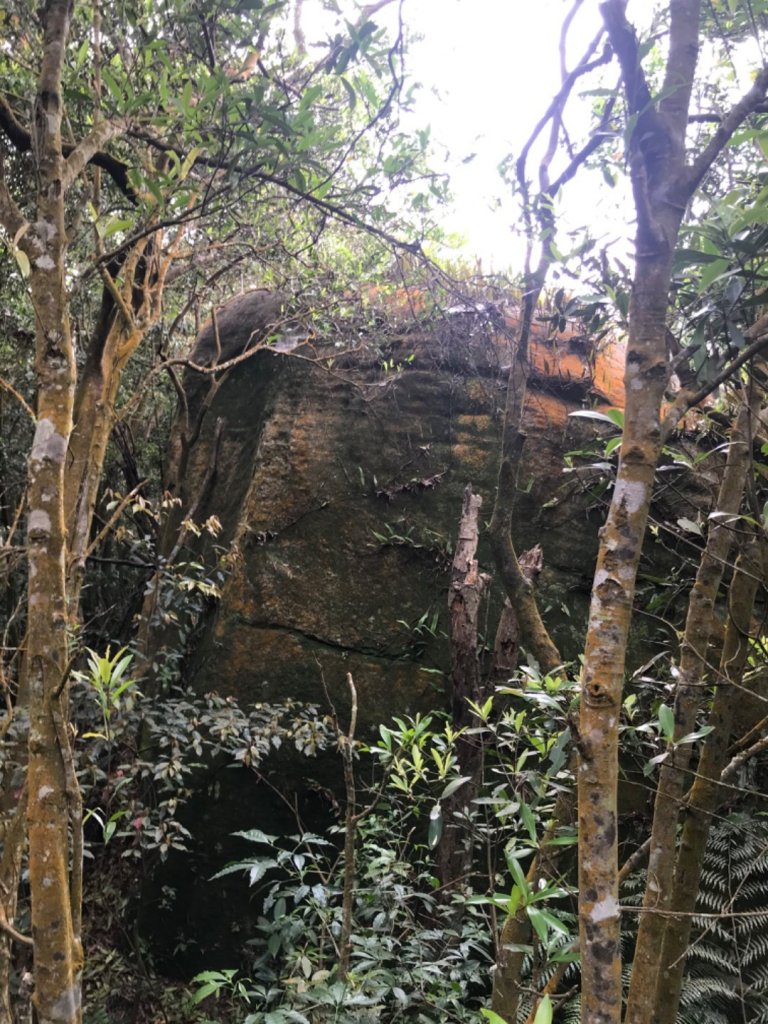 大崙頭山_925368