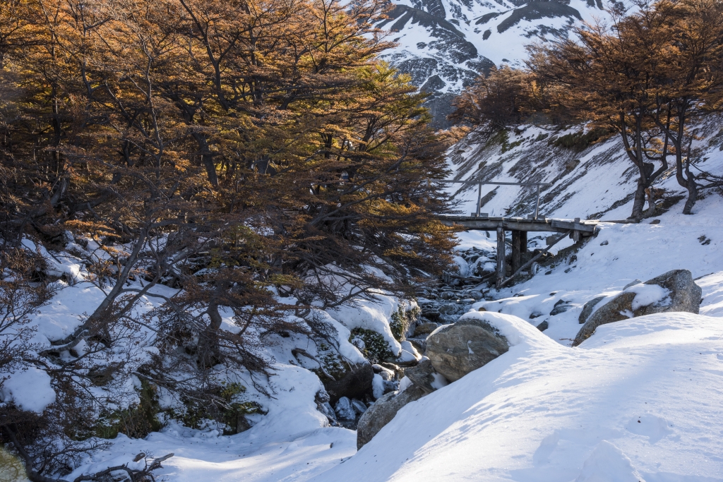 阿根廷火地島馬蒂爾冰河_53898