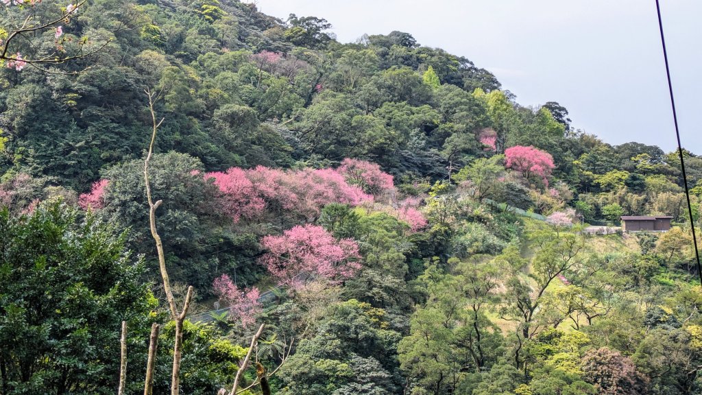 大尖山封面圖