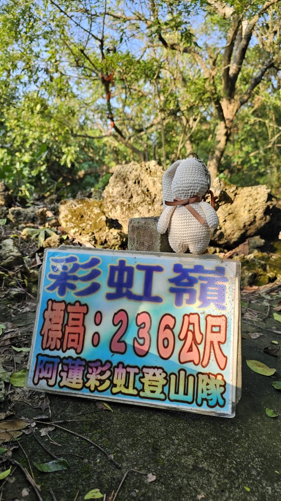 241102-小崗山+崗山之眼+彩虹嶺（皇帝椅）。美美兔閒來無事走一大圈9K。_2643279