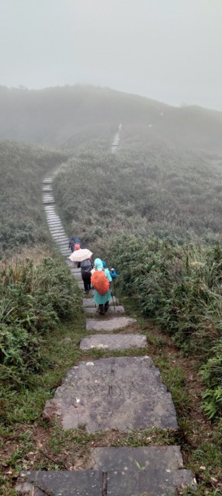 桃源谷，草嶺古道縱走_1902825