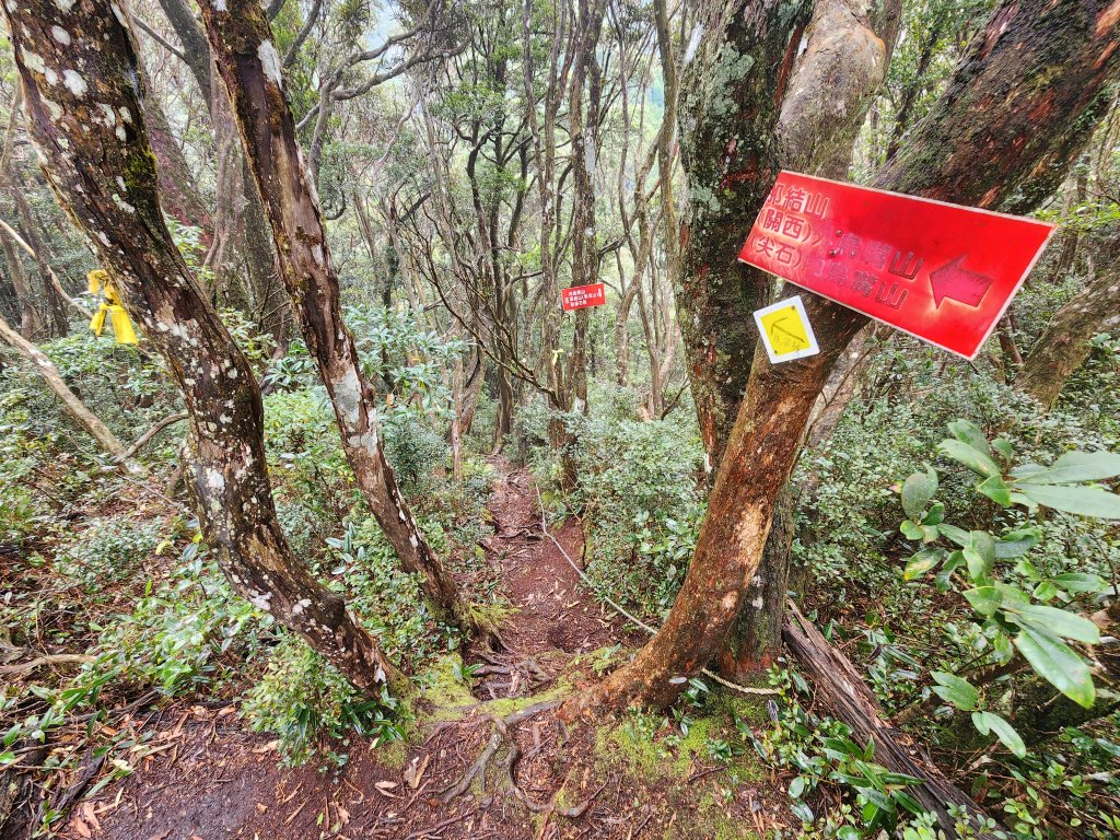 20250112貴妃山那結山外鳥嘴山蓮包山O型_2727136