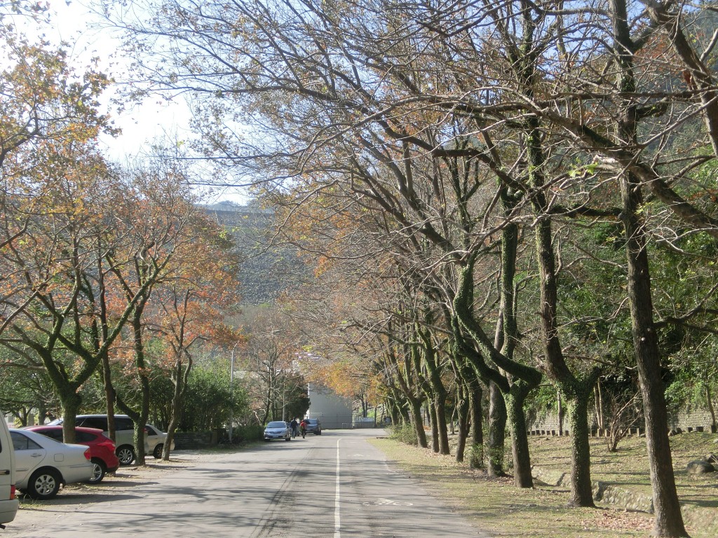 槭林公園．石門水庫．南苑園區_237333