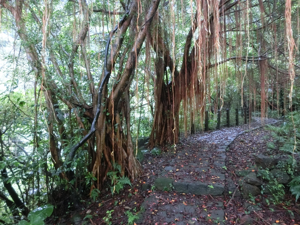 魚路古道（天籟八煙段）．八煙聚落_95156