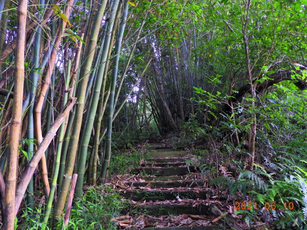 新北 三峽 成福山_1413448