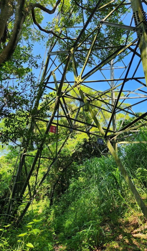 鳶尾山，鳶山東峰，桃園神社，土城彈藥庫舊址，新北大都會公園，二叭子植物園，外挖子山_2216494