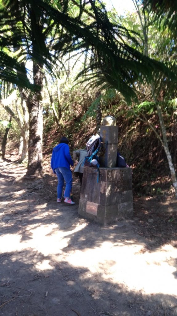 20190207馬那邦山_519014