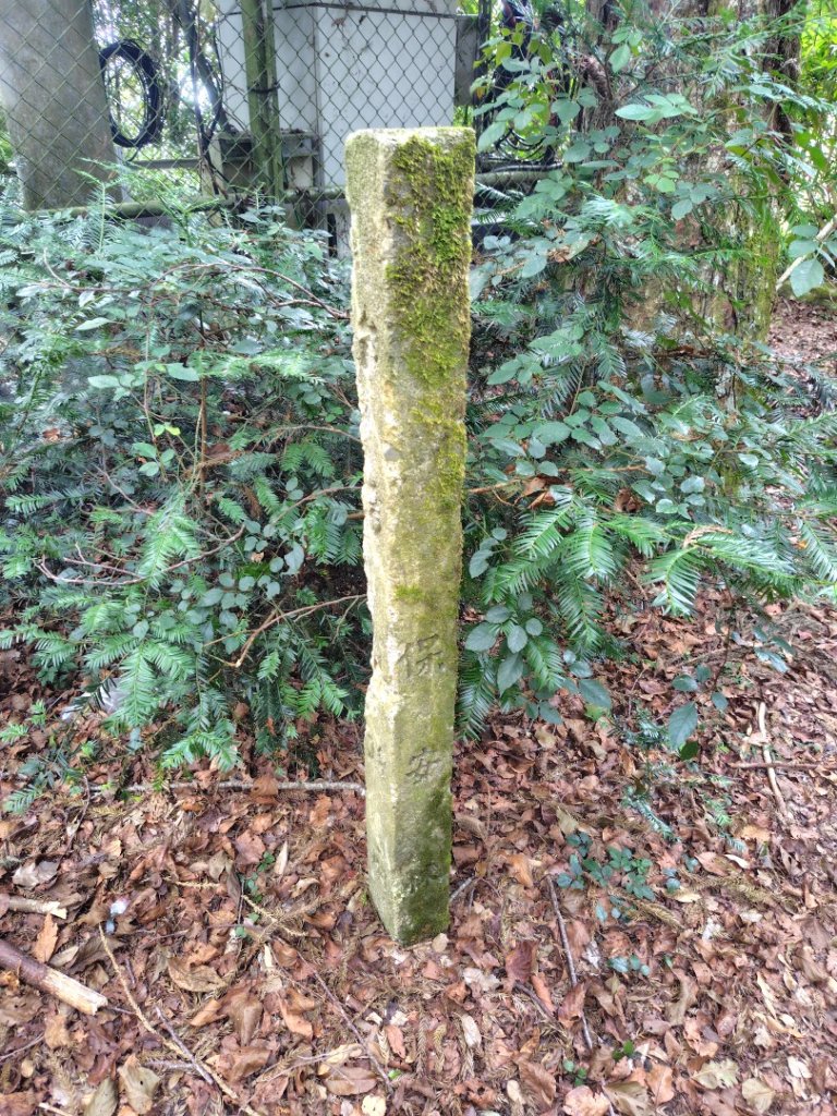 屋我尾山_2931466