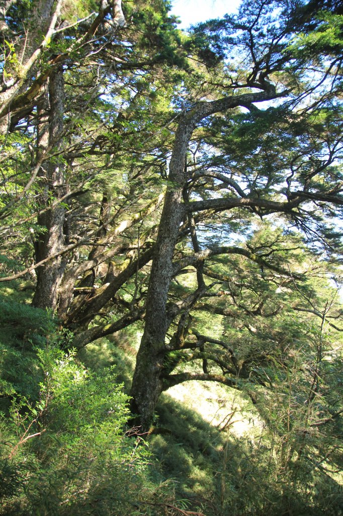 南橫三星之與時間賽跑_1787765