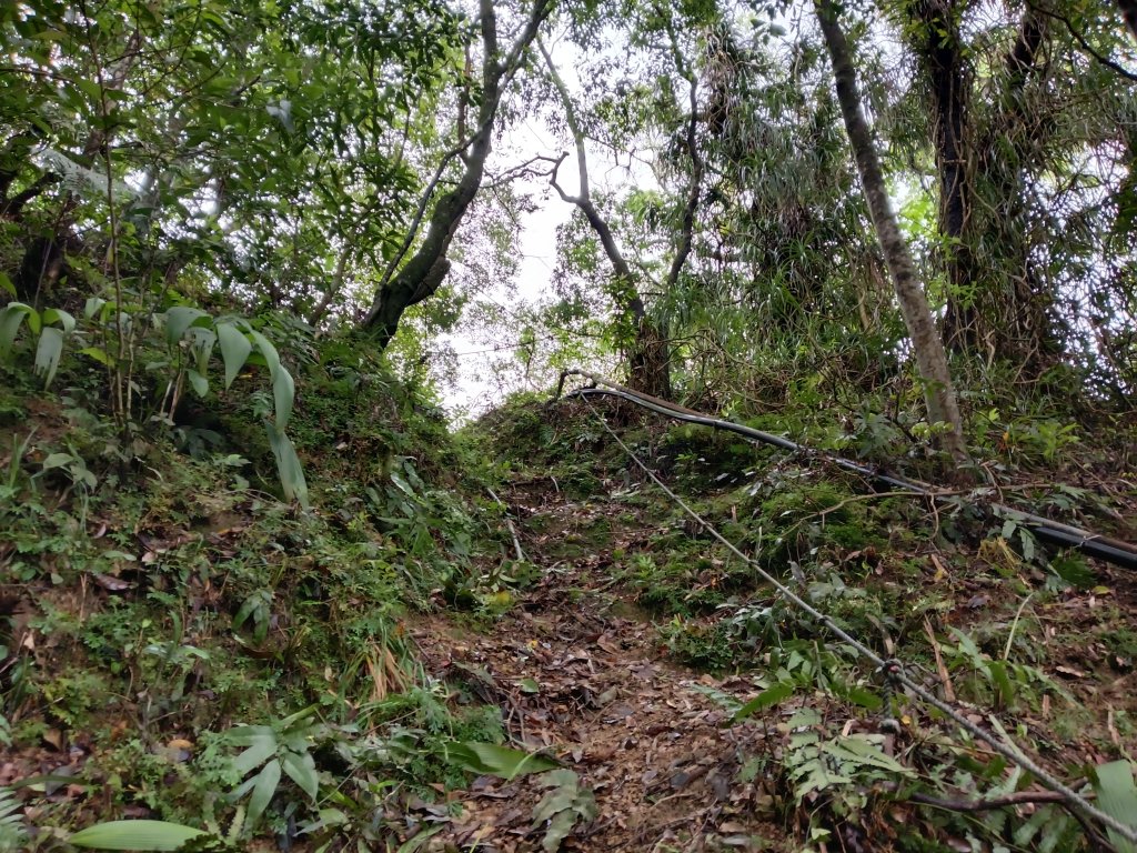 平溪區三功大厝+番子坑山+千階嶺步道O型_2781105