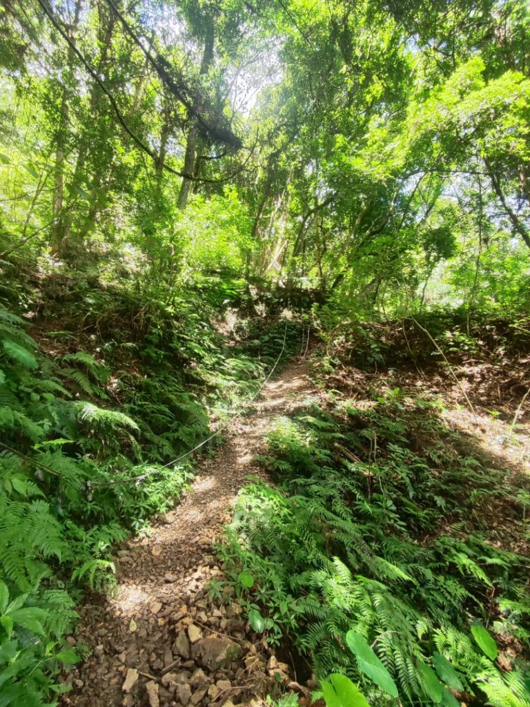 民都有山_2844989