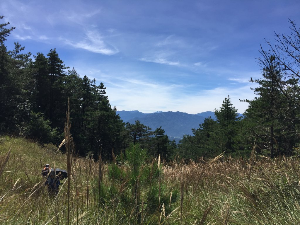 武陵四秀(2015四缺喀_2019喀桃)_689452